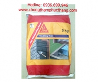 Sika Waterproofing Mortar